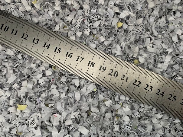 Automaster Micro Cut vs Ruler